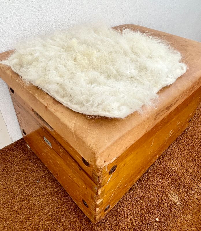 NEU - Sitzkissen "Wuschel" quadratisch vom Walliser Schwarznasenschaf