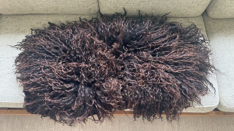 Satt warmbraunes Fell vom Ungarischen Zackelschaf mit langen lockigen glänzenden Haaren. ca 105 x 60cm. Satt warmbraunes Fell vom Ungarischen Zackelschaf mit langen lockigen glänzenden Haaren. ca 105 x 60cm.