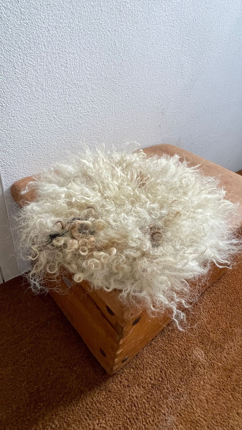 NEU - Sitzkissen "Löckchen" rund vom Walliser Schwarznasenschaf