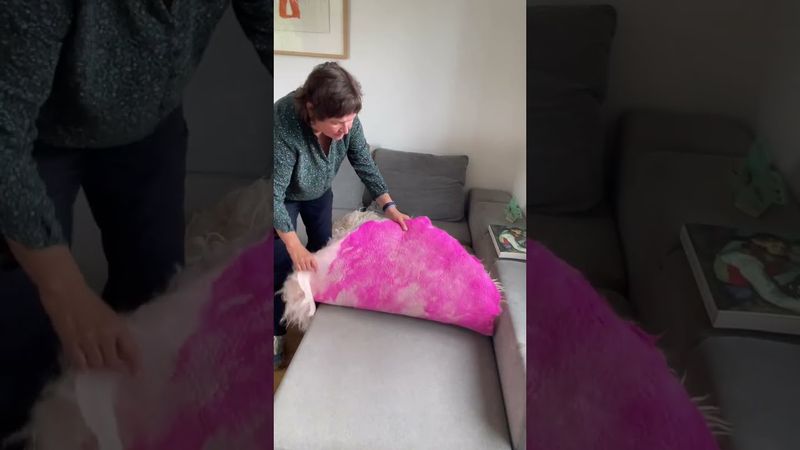 Das große handgeflizte Fell von der weissen gehörnten Heidschnucke für Wand, Boden oder Sofa, ca 150 x 110cm.