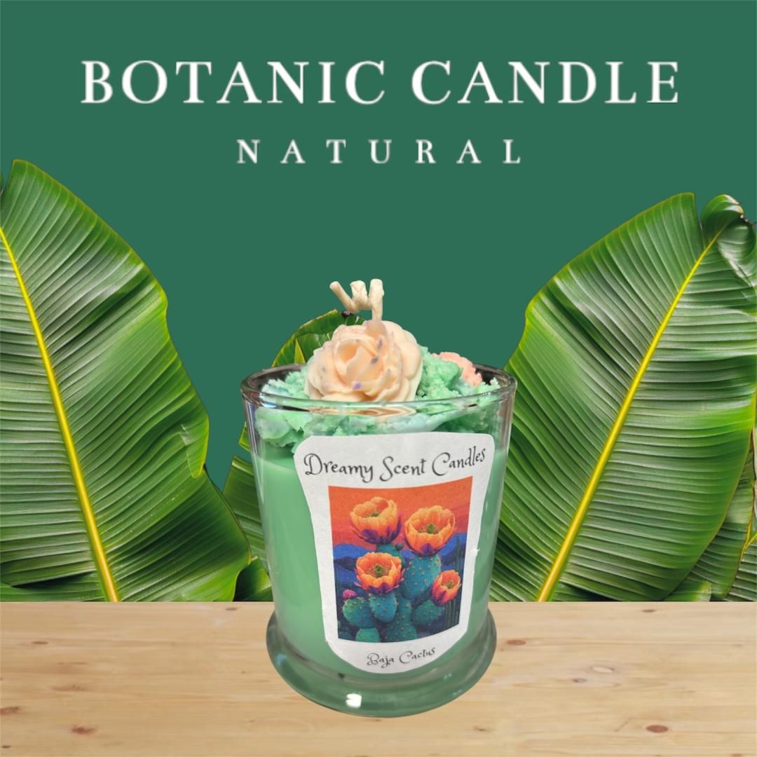 Baja Cactus      12 oz