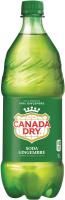 GINGER ALE 1L
