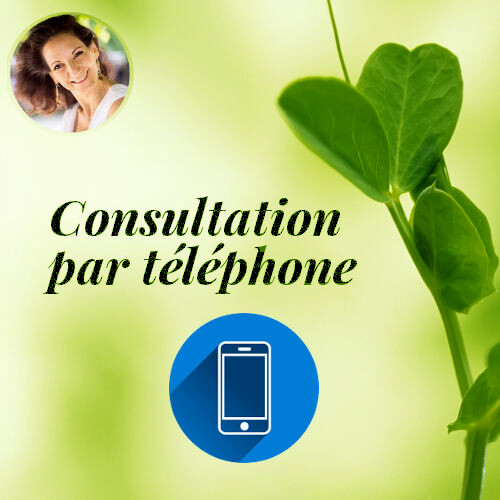 1ere Consultation de DIAGNOSTIC par TELEPHONE - 1h30