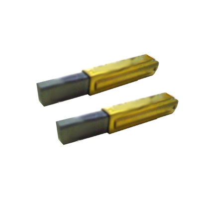 COPPIA CARBONCINI PER VACUFLO 288 - 488 - FC540 - FC570