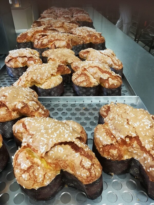 Colomba Classica
