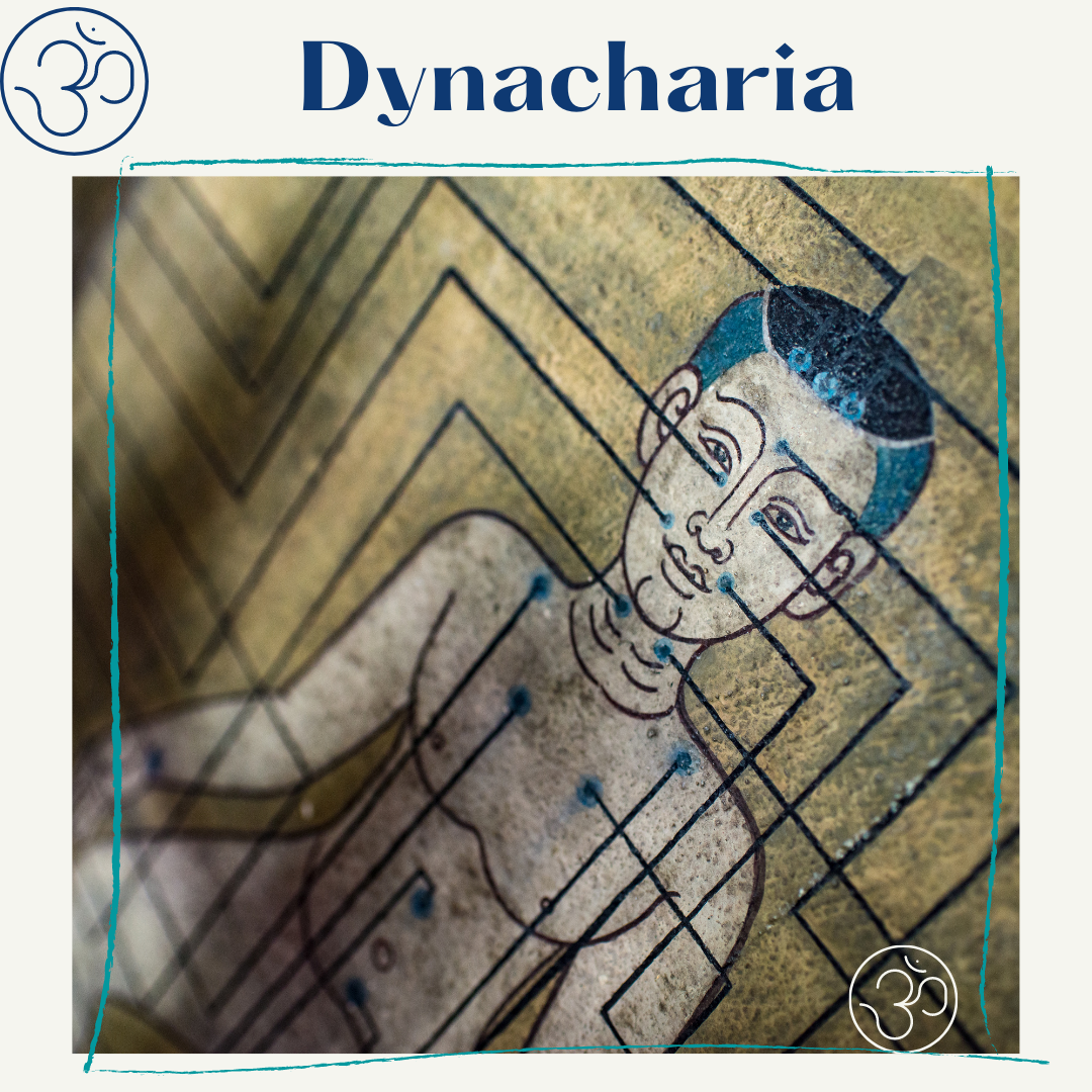 Dynacharya - Dossier gratuit