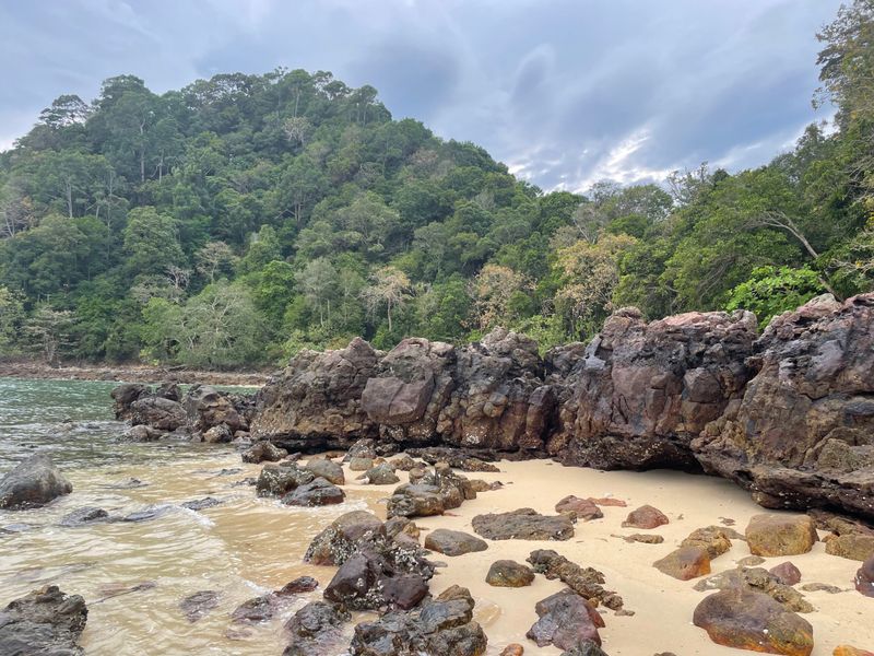 Thérapie somatique 1h