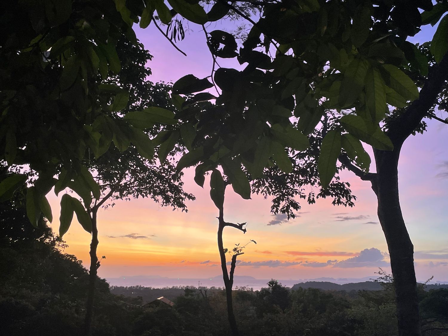 Thérapie somatique 1h15