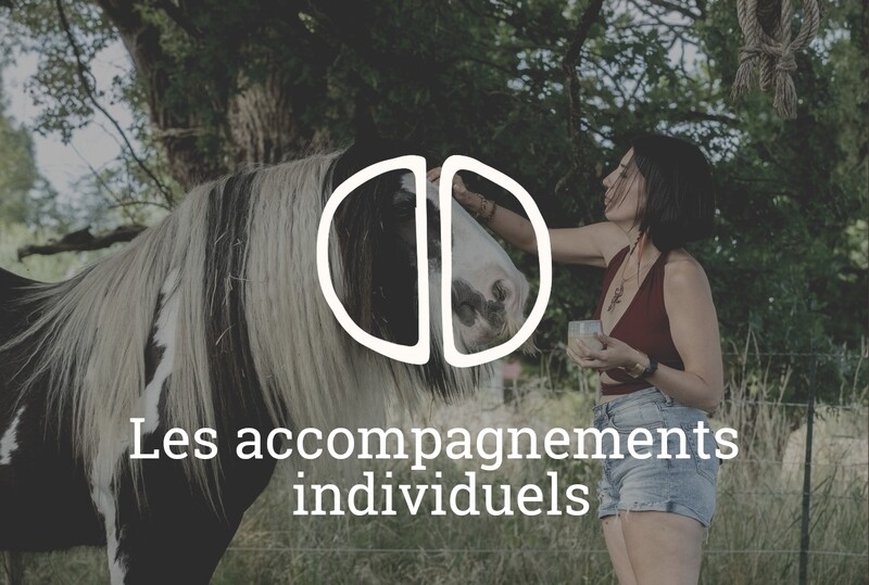 Les Accompagnements individuels