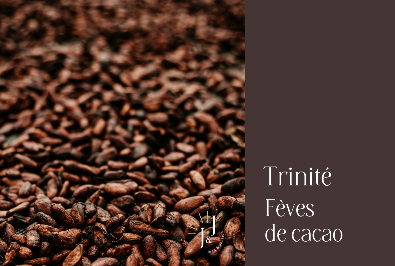 Fèves de cacao Trinité