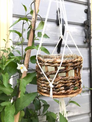 Boho Fresh Light 🌿 Portacandele Boho Chic in Carta Riciclata con candela al profumo di Menta e Limone