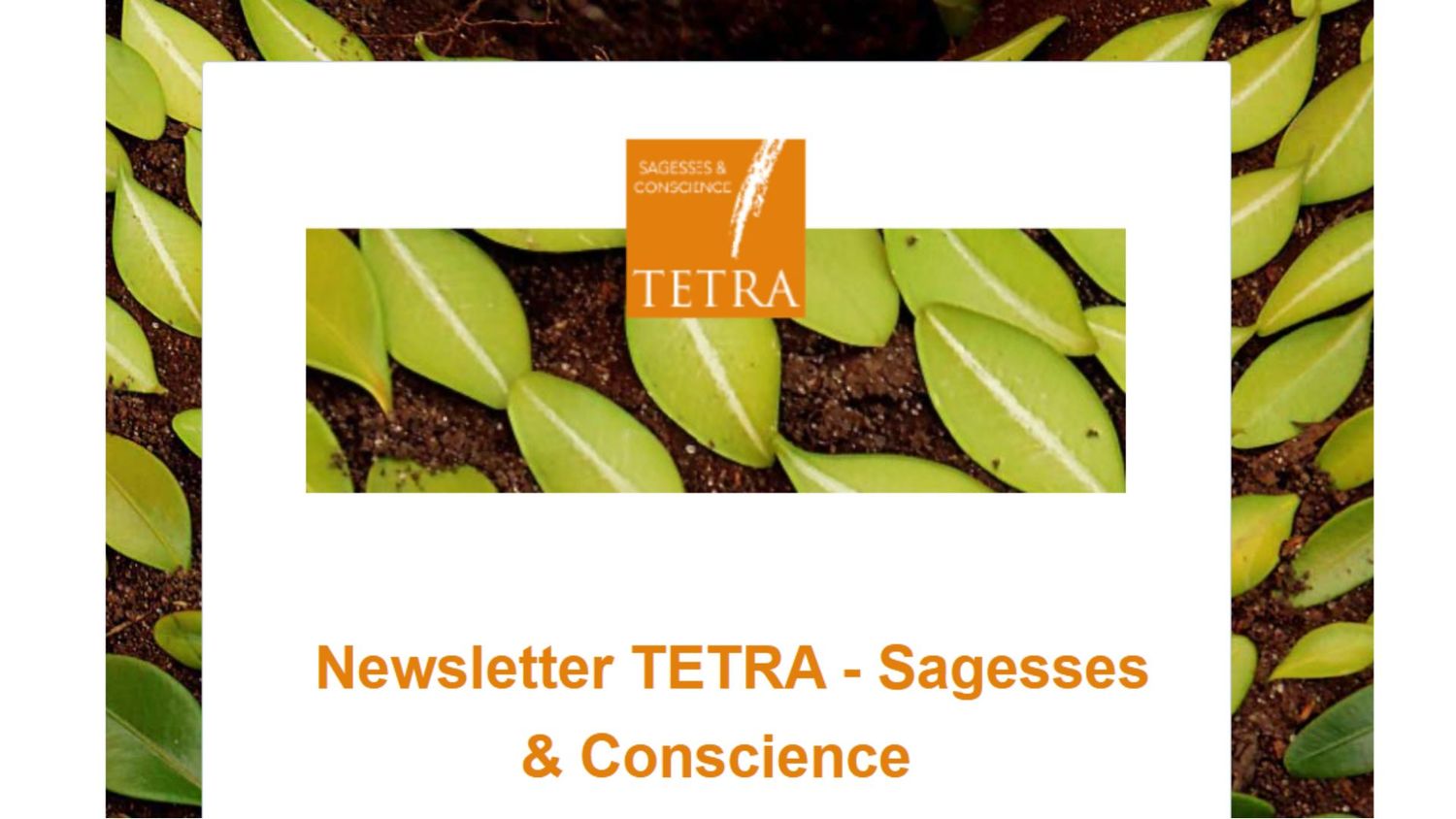 Inscrivez-vous à notre NEWSLETTER !
