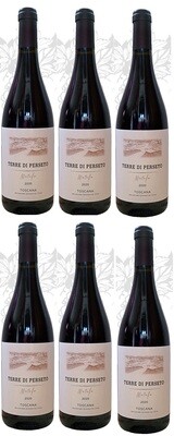 6 Bottles of METELLO IGT Toscana Red Wine - Vintage 2021 //TOTAL discounted PRICE for 6 BOTTLES