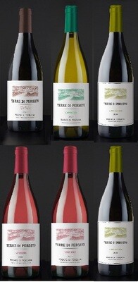 PACKAGE "SUPER IGT WINES": 2 SUPERTUSCAN "IL PREGIUDIZIO" + 1 CAPRICCIO White + 2 VERZIERE Rosé + 1 METELLO Red // TOTAL PRICE FOR 6 BOTTLES