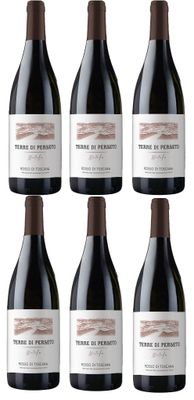6 Bottles of METELLO IGT Toscana Red Wine - Vintage 2020 //TOTAL  PRICE for 6 BOTTLES