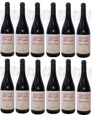 12 Bottles of METELLO IGT Toscana Red Wine - Vintage 2020 //TOTAL  PRICE for 12 BOTTLES