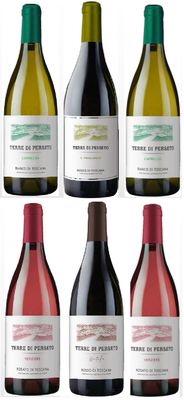 PACKAGE "SUPER IGT WINES": 1 SUPERTUSCAN "IL PREGIUDIZIO" + 2 CAPRICCIO White + 2 VERZIERE Rosé + 1 METELLO Red // TOTAL PRICE FOR 6 BOTTLES