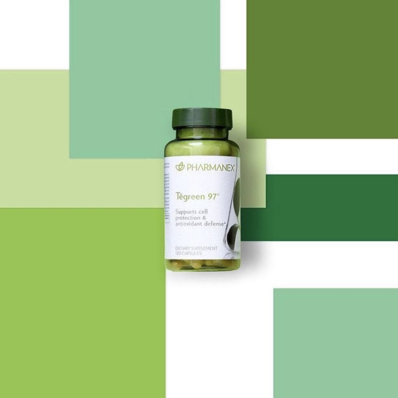 Gut Drink, Tegreen + R2