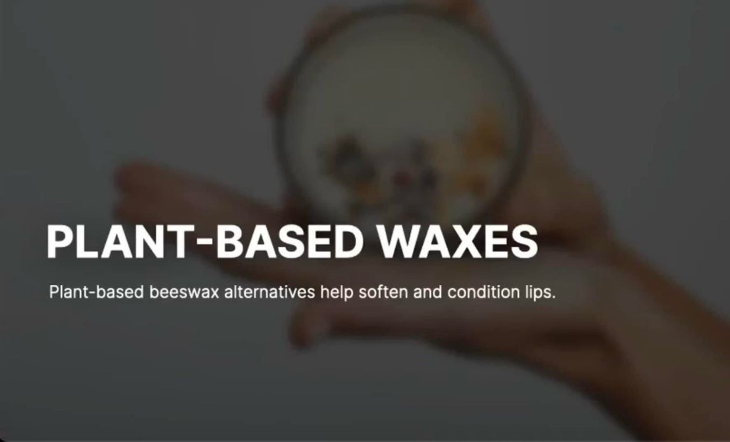 Lip Plumping Peptide Pout