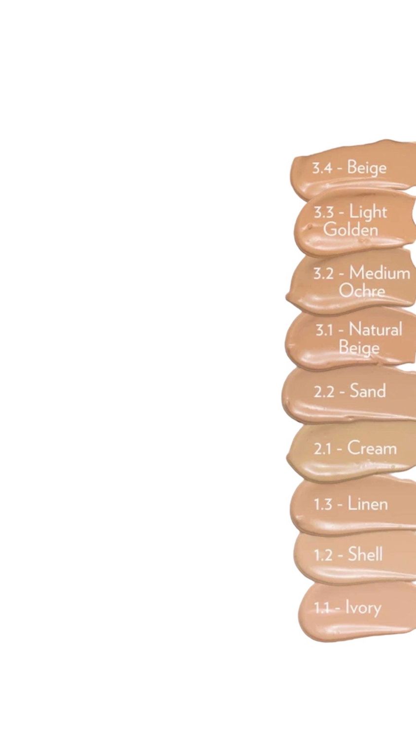 BB Cream + Skin Loving Foundation