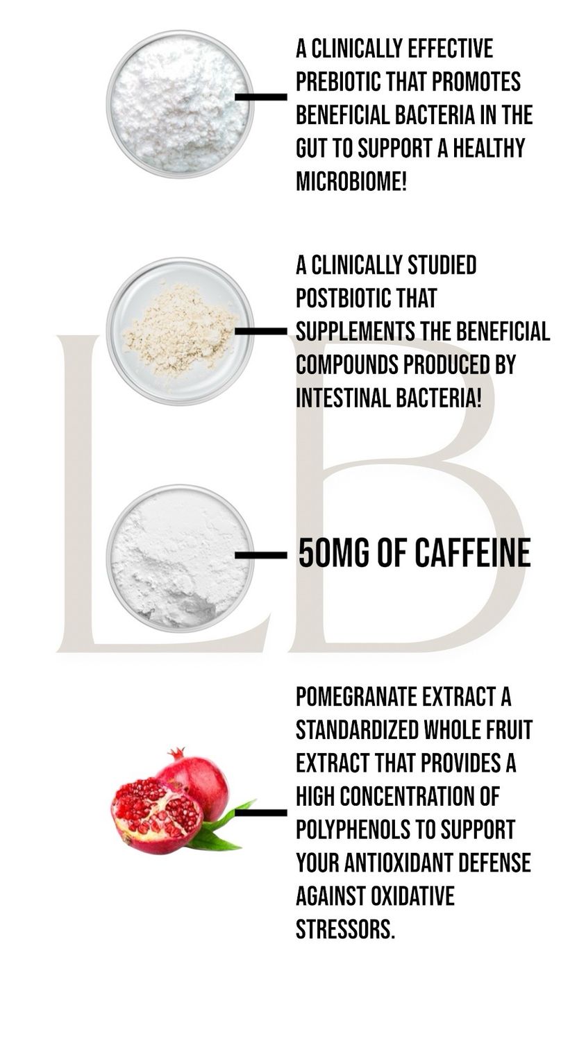 Gut Drink (3 Month Supply)
