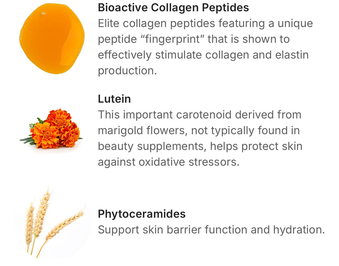Beauty Focus Liquid Collagen