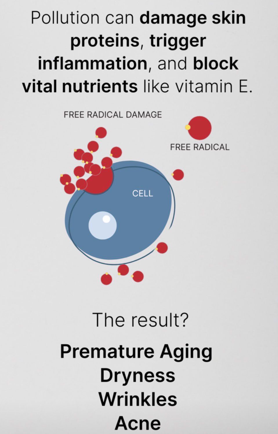 Boujee Moisturizer (2 Jars)