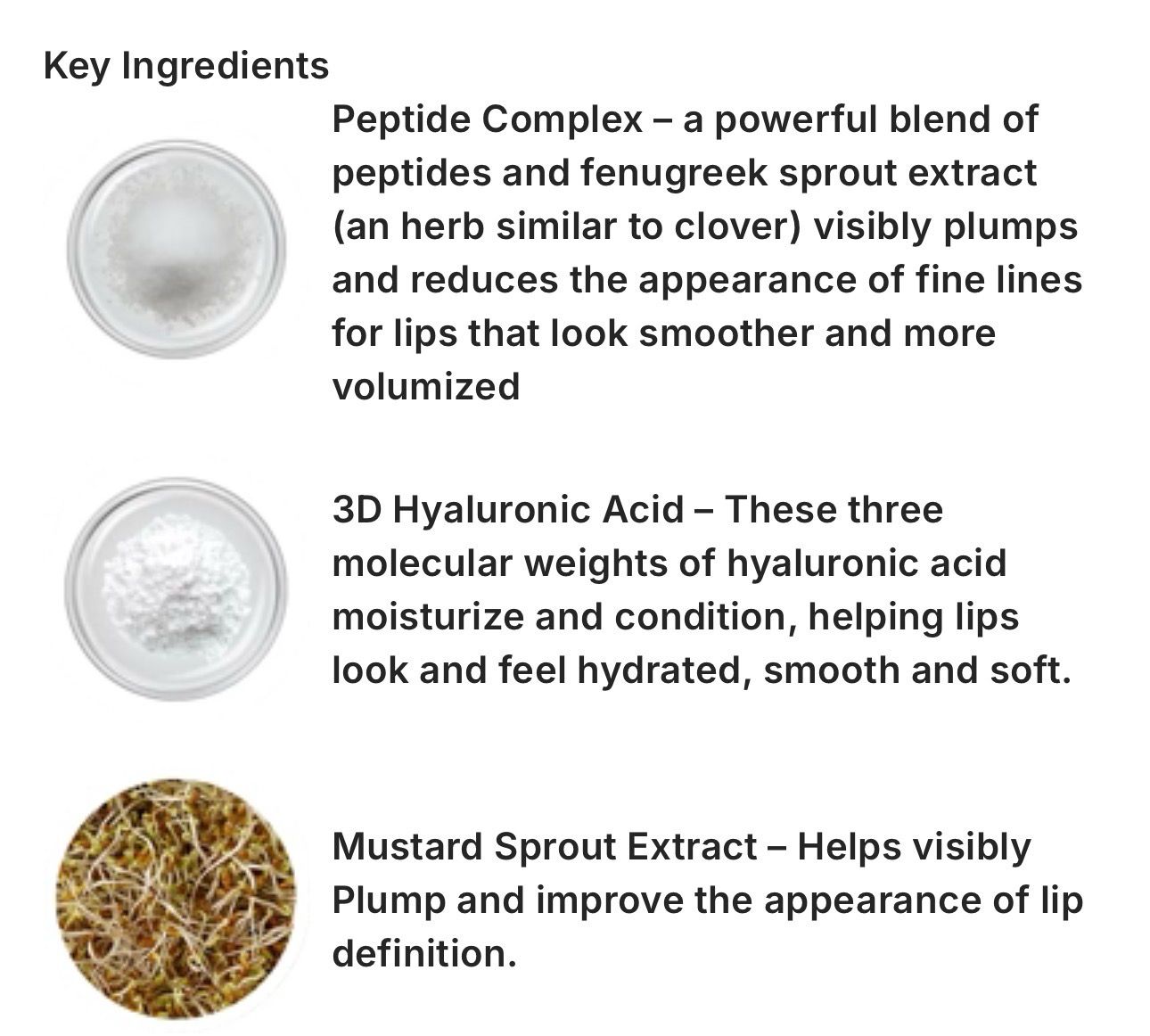 Lip Plumping Peptide Pout