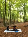 Formation au Shiatsu - Cycle I