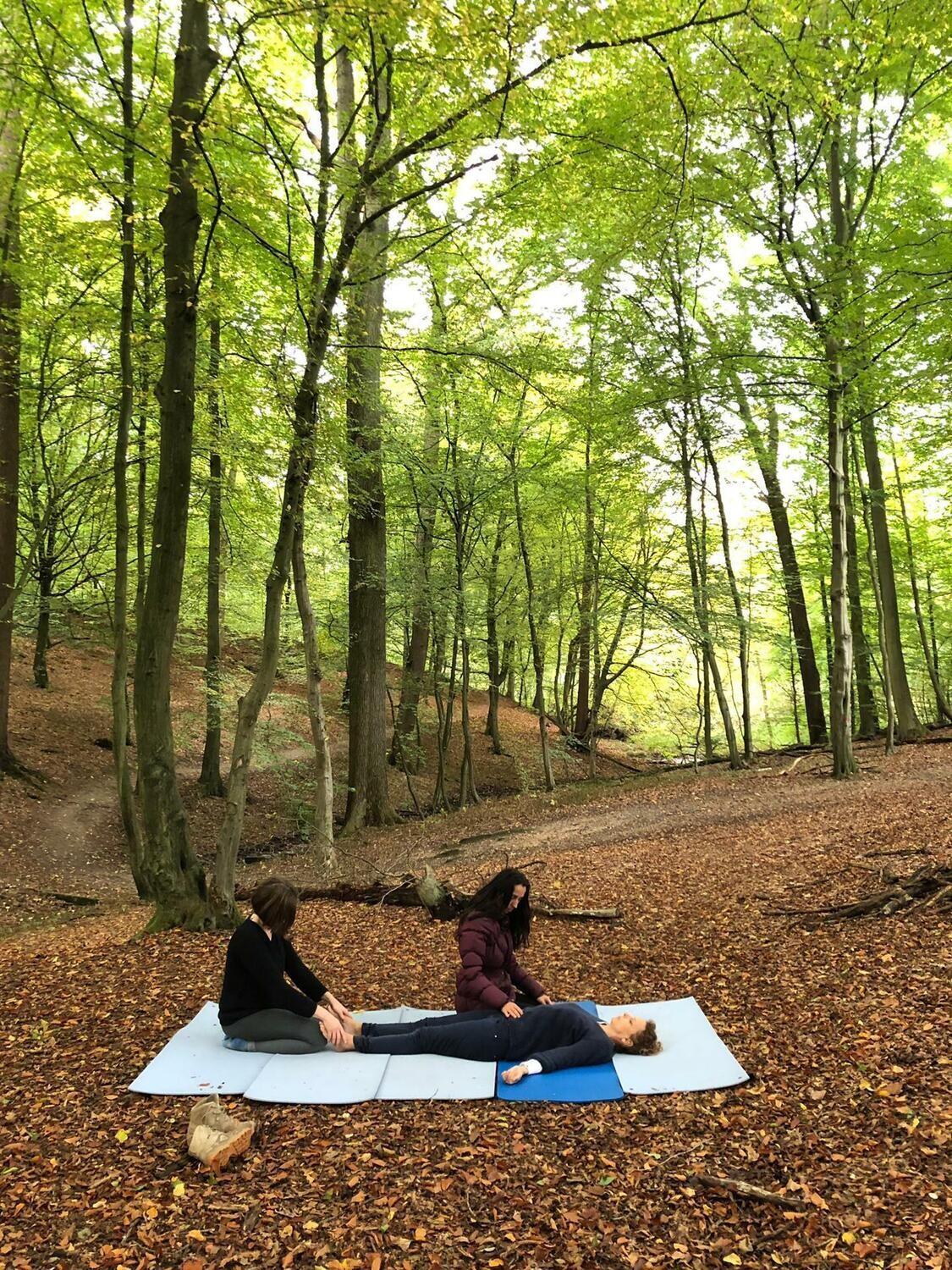 Formation au Shiatsu - Cycle III