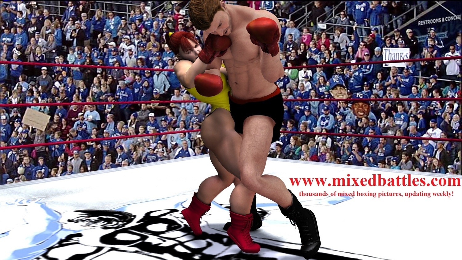 Rocky vs Charlotte