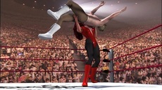 Mixed wrestling