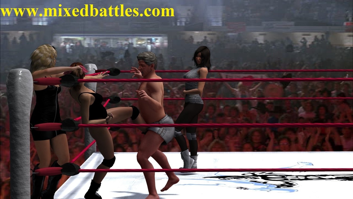 mixed wrestling leotard female domination fighting