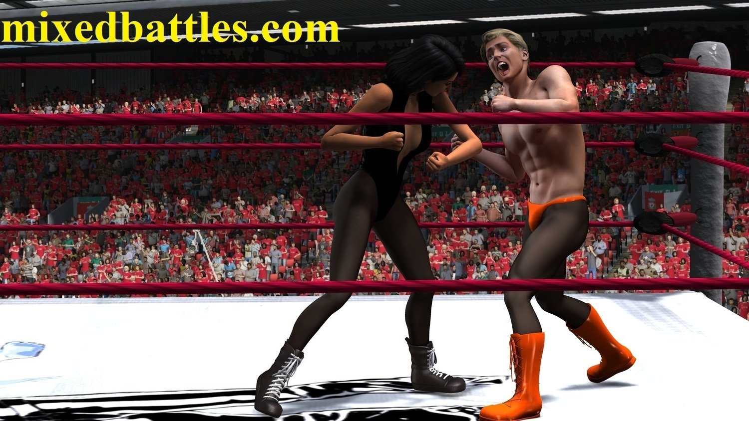 Rematch for the title