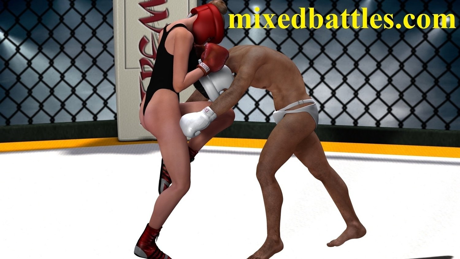 MMA Kickboxing
