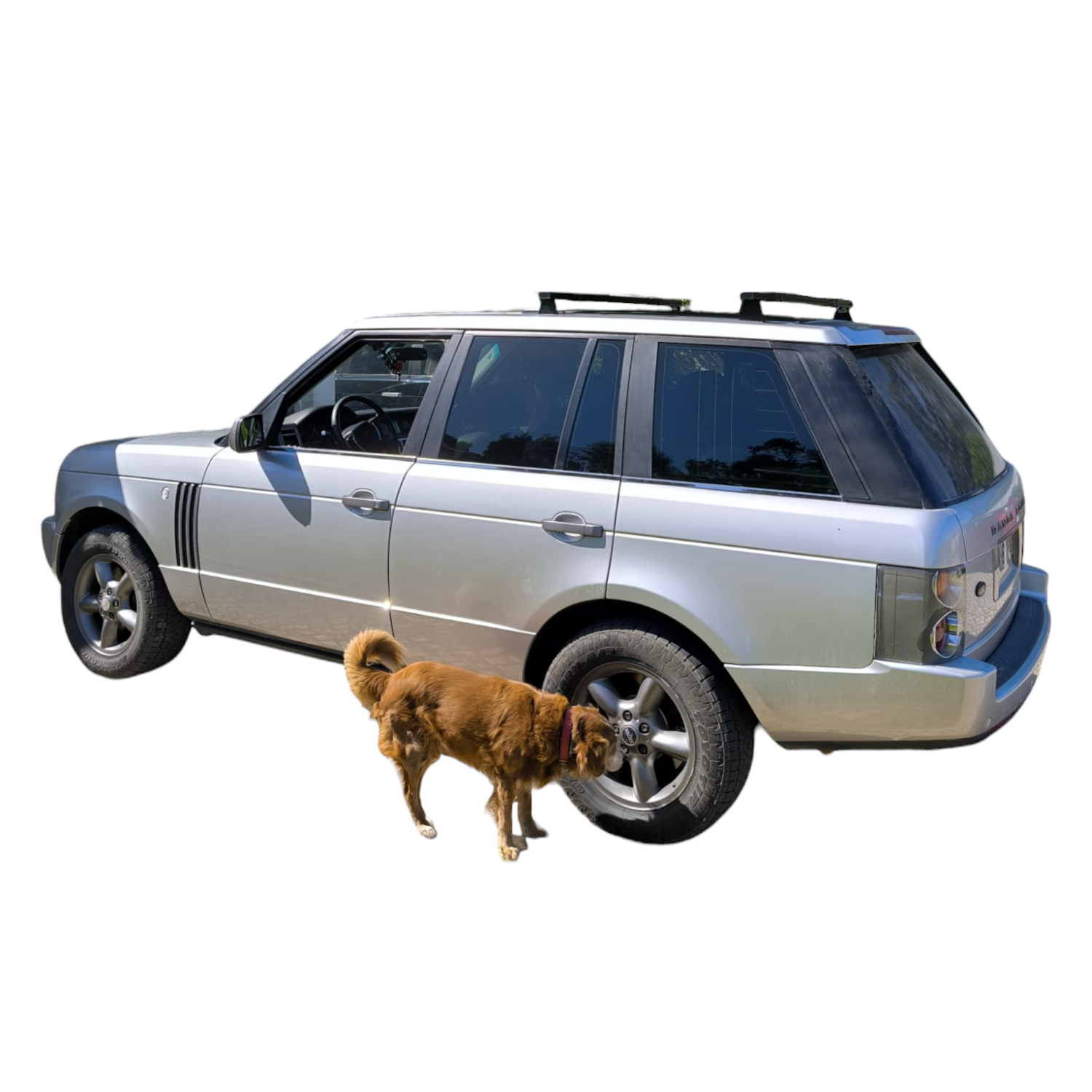 ​Barres de toit Range Rover L322