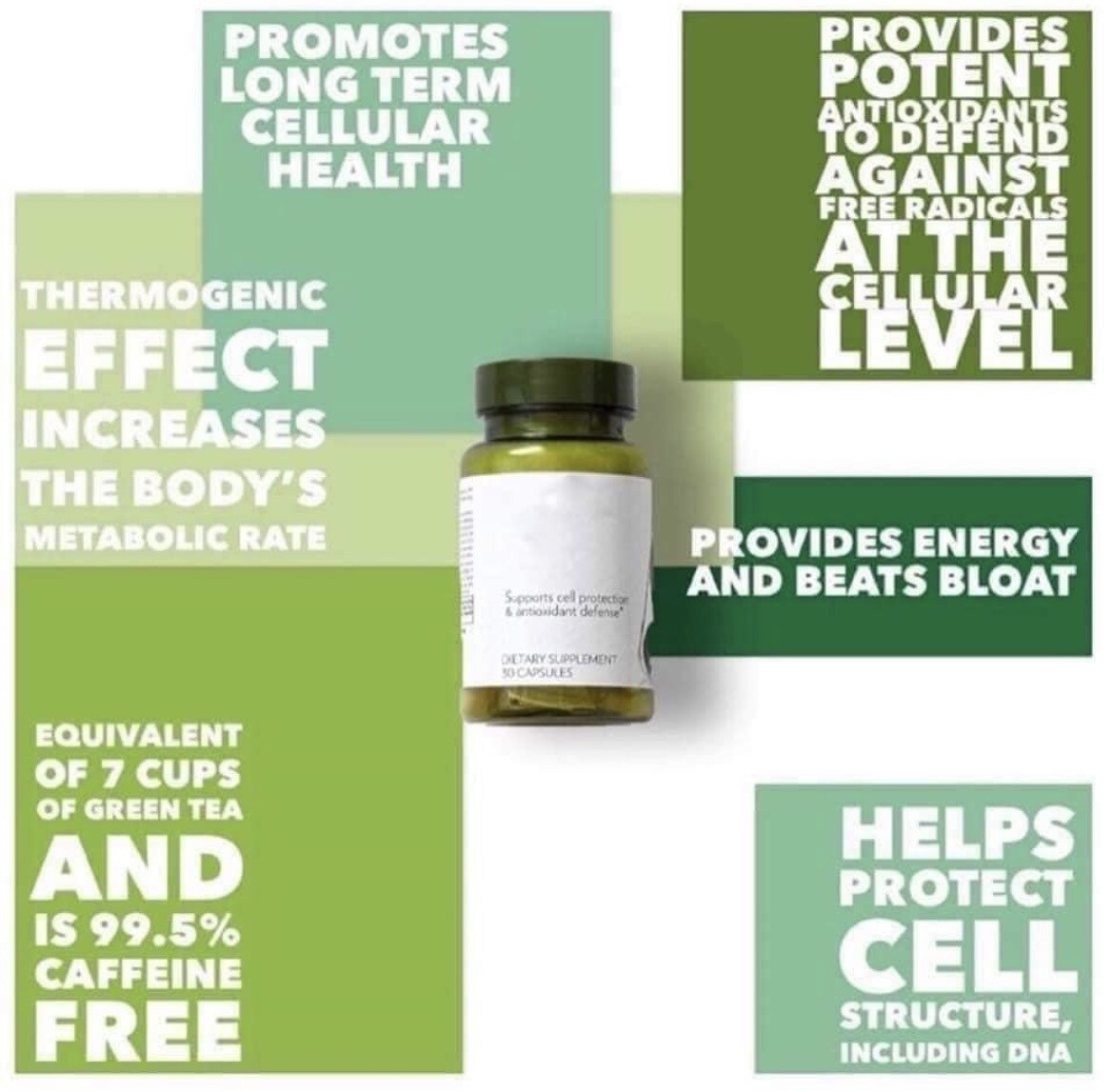 Tegreen 120 Count