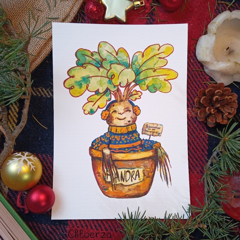 ☃️Mandragore de l&#39;hiver🎄