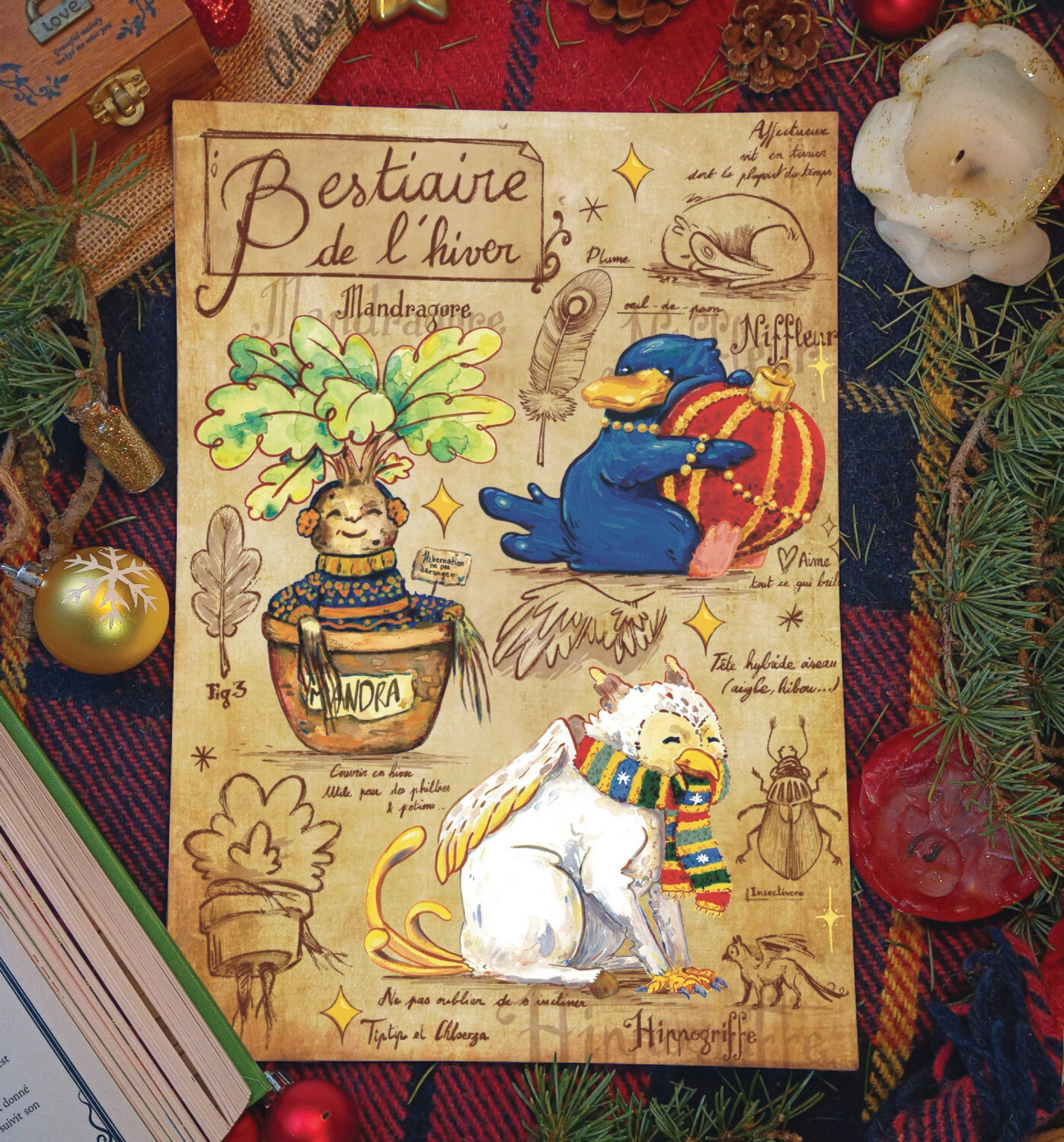 ✨Bestiaire de l&#39;hiver 📚