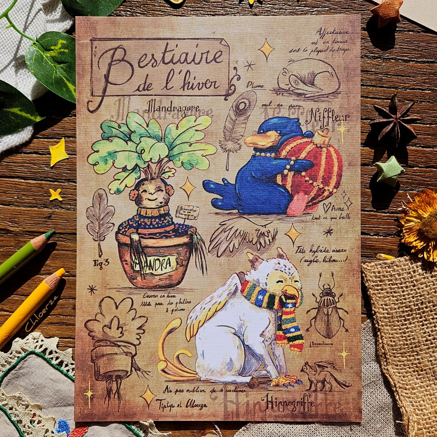 ✨Bestiaire de l&#39;hiver 📚