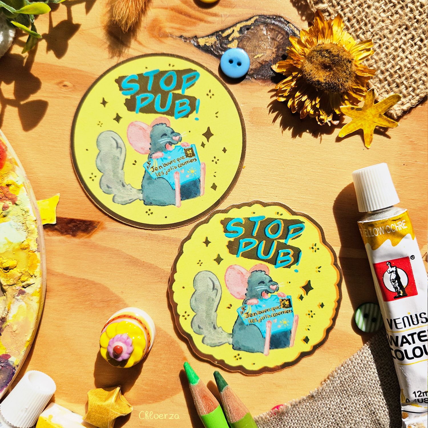🐭Stop pub chinchilla ✨️