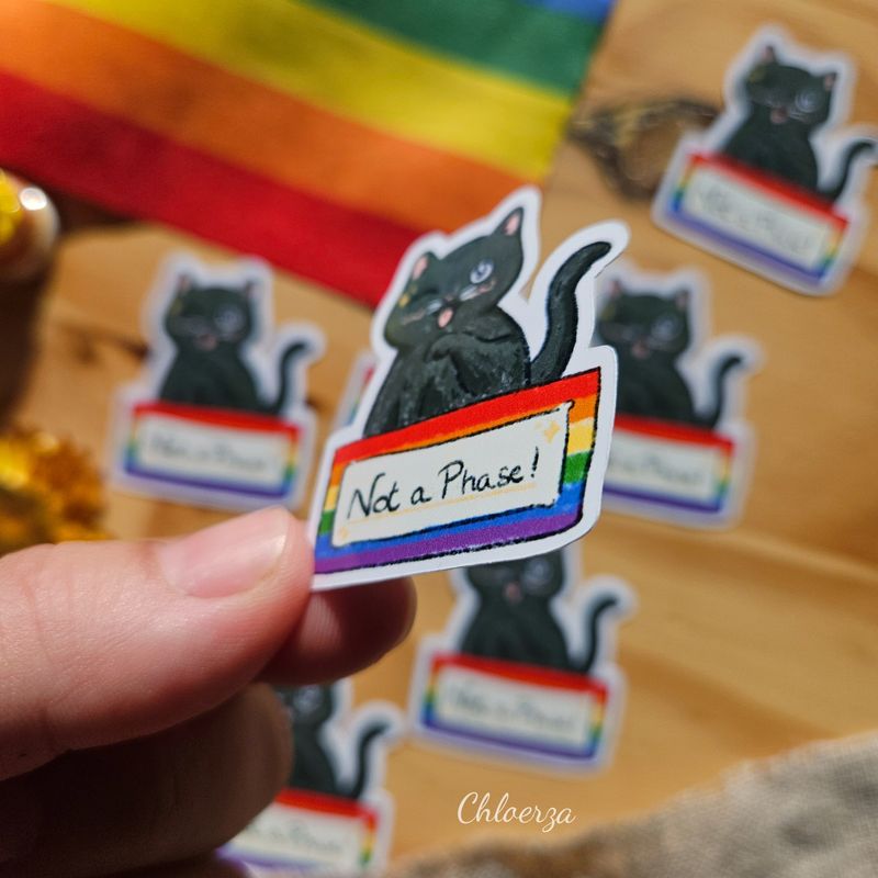 ✨ Not a phase 🏳️‍🌈💖
