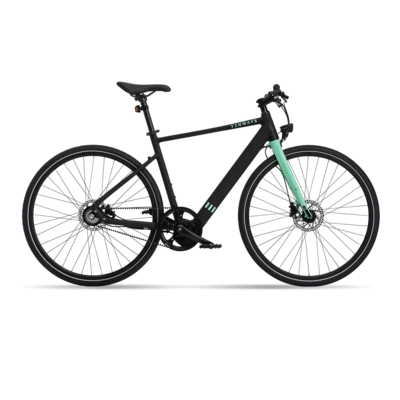 E BIKE -ELETTRICA TENWAYS CGO600