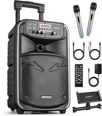 Cassa PA portatile Bluetooth con 2 microfoni senza fili per adulti e bambini, Altoparlante karaoke 8 pollici ricaricabile supporto TWS/Echo/FM/AUX in GTSK8-2