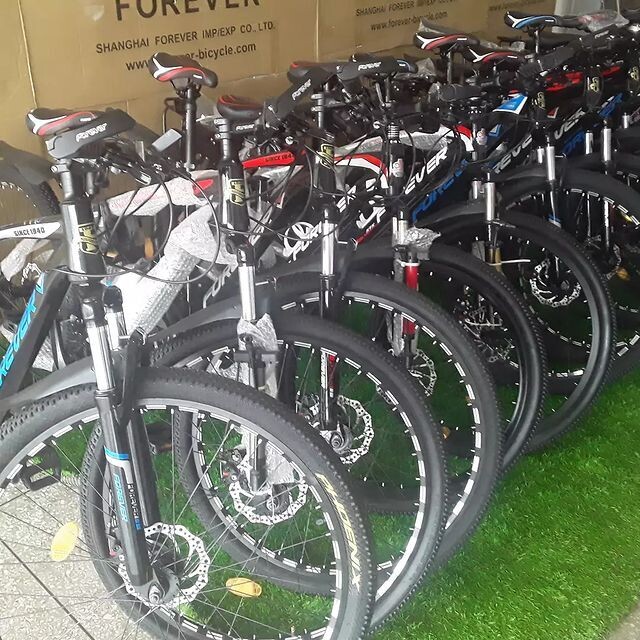 BICILETAS DE RUTA RIN 29 FOREVER