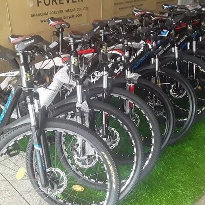 BICILETAS DE RUTA RIN 29 FOREVER