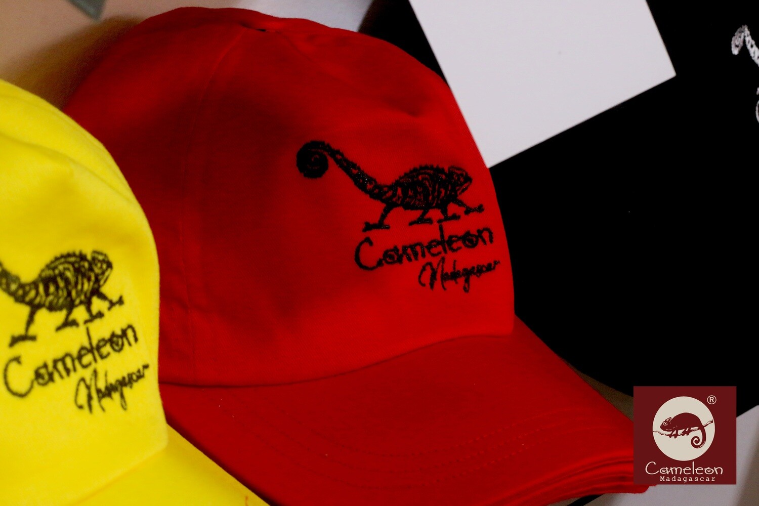 Casquette/24