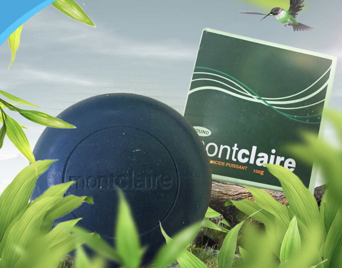 MONTCLAIRE TRANSPARENT SOAP