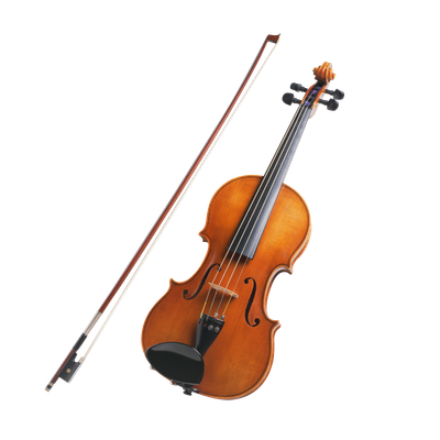 violin family