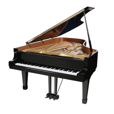 Musical Instruments
